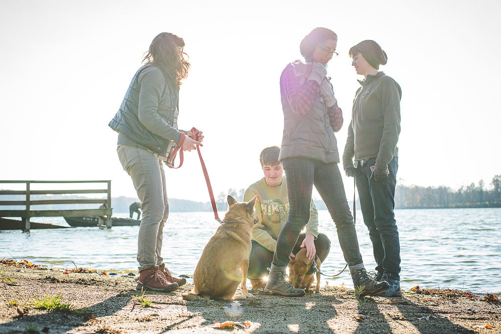 Friends chatting by a lake with their pets