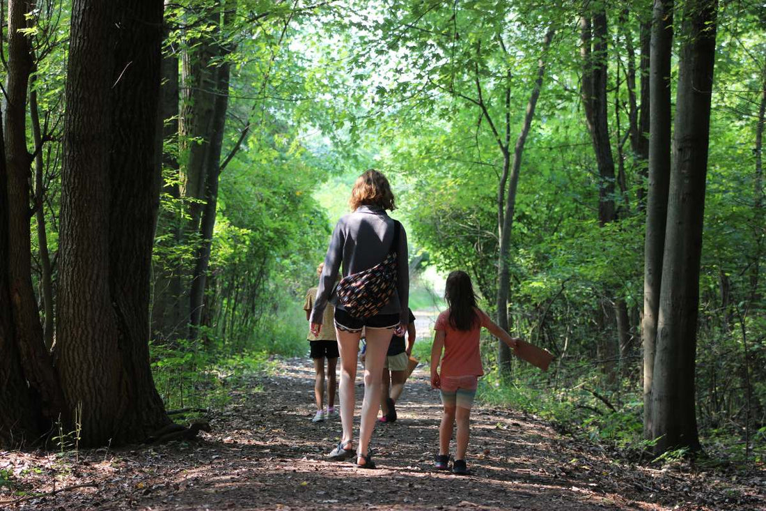 Blandford Nature Center