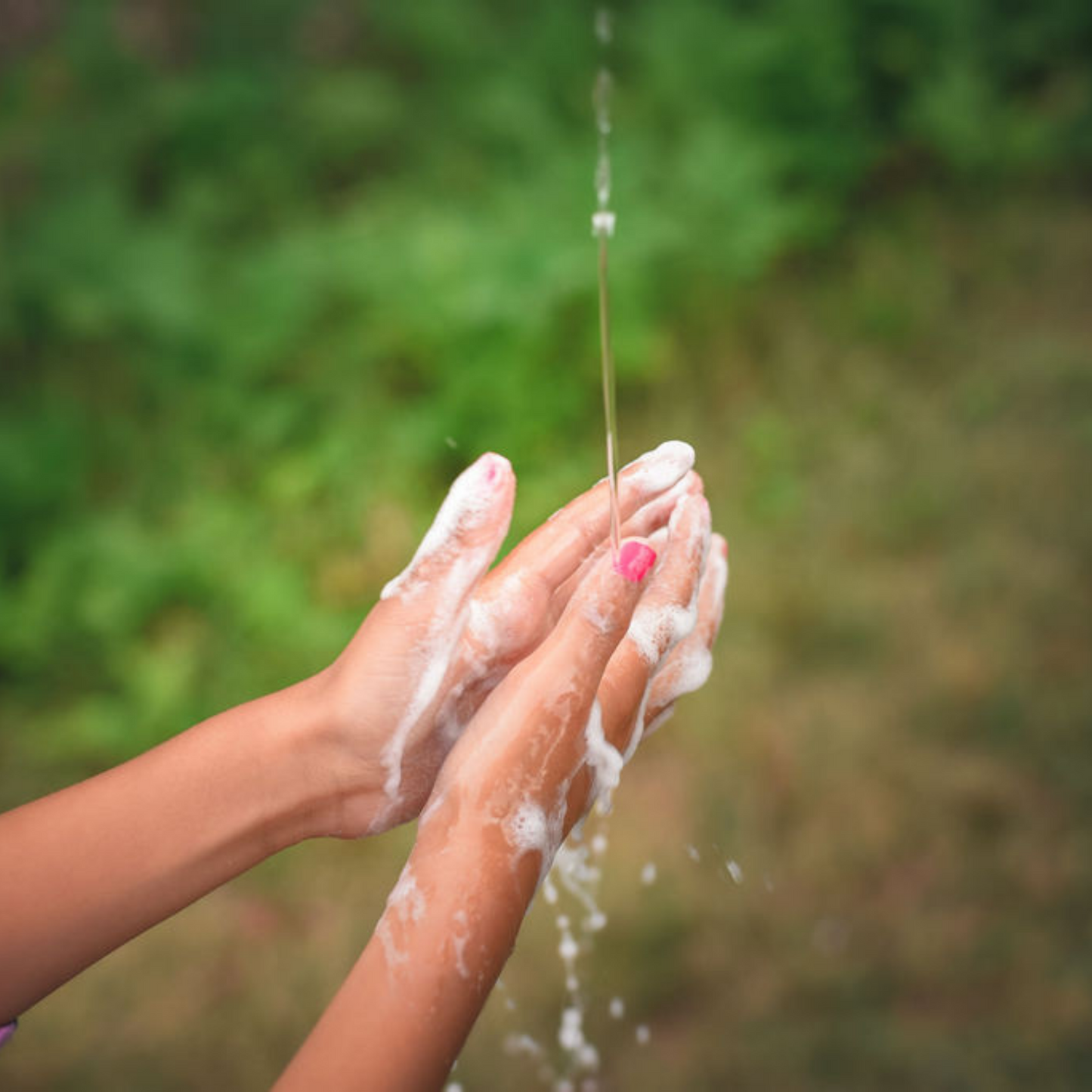 rosemary mint scrub body bar