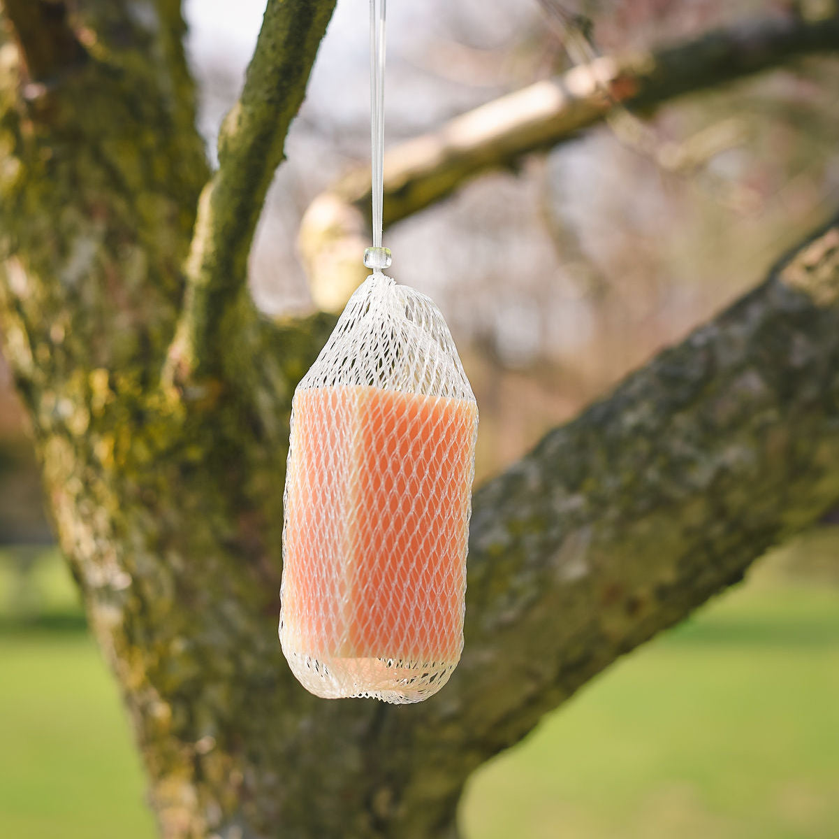 extra-meter cedar pack