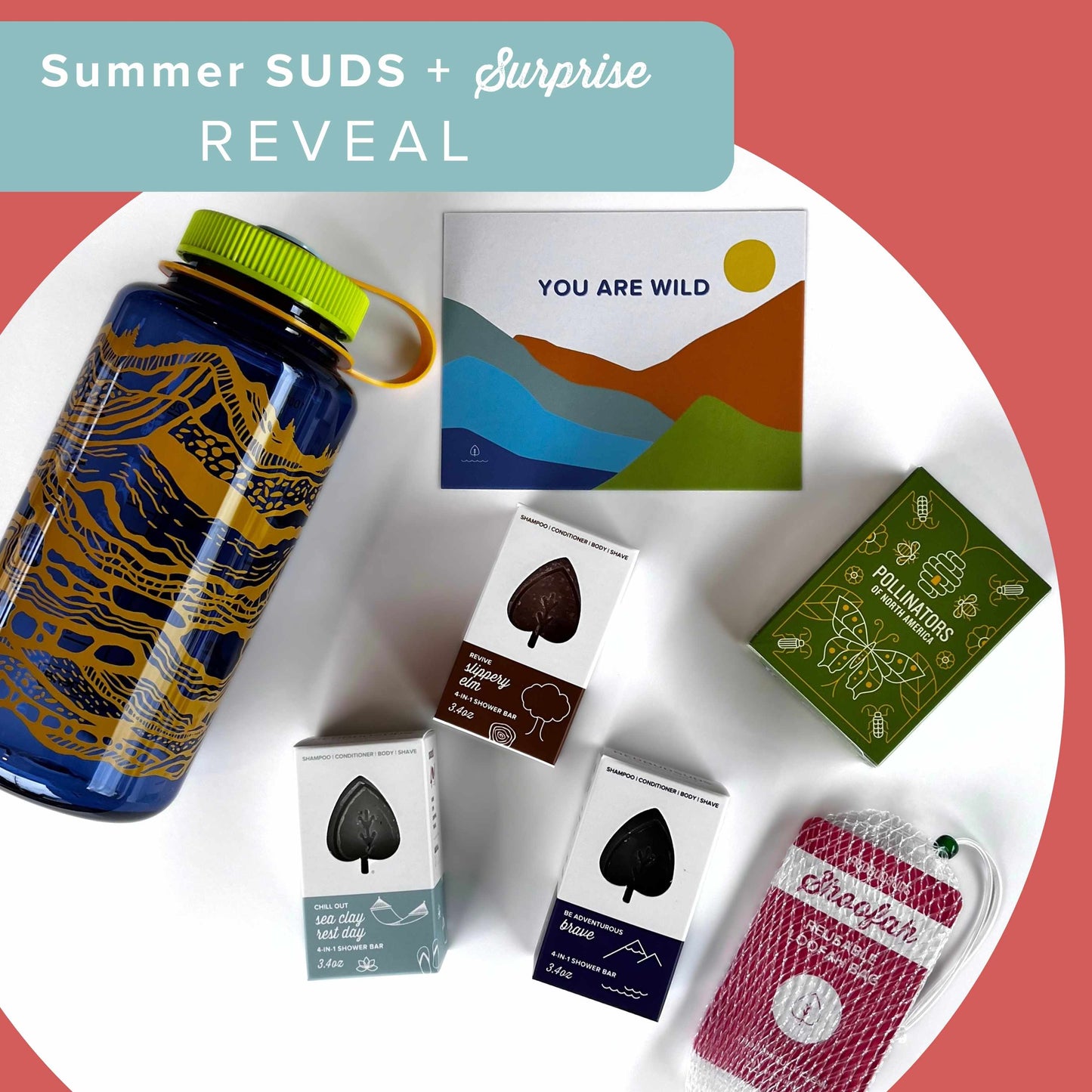 suds + surprise box